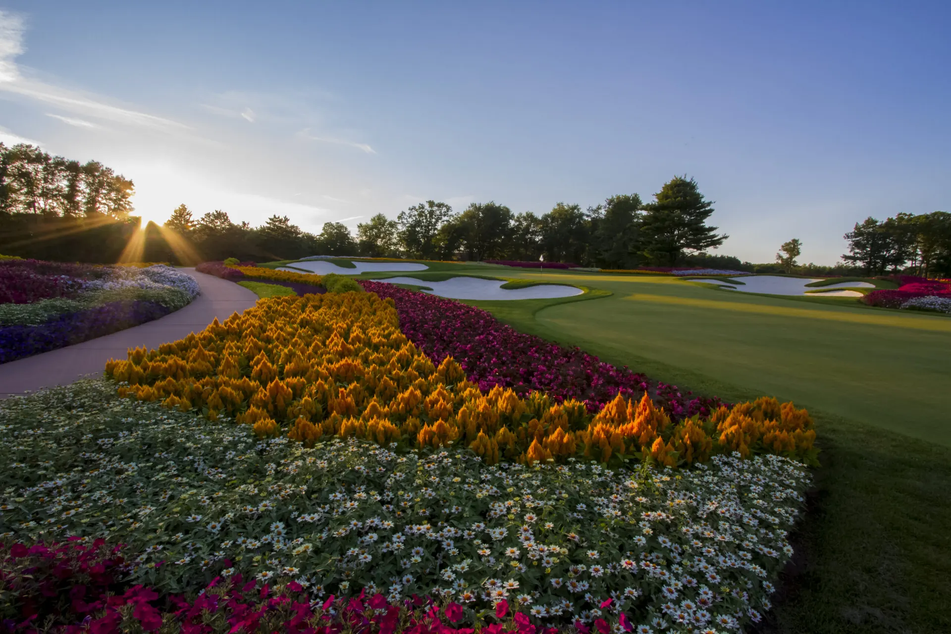 Flower beds beside a fairway at sunset